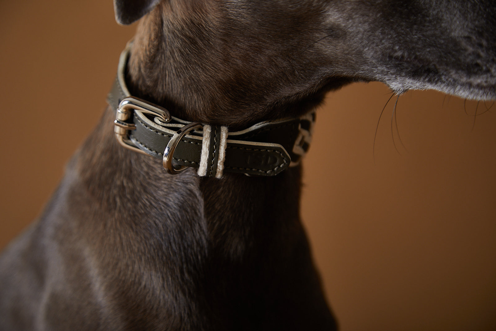 ÉTOILE Leather Collar&Leash Set