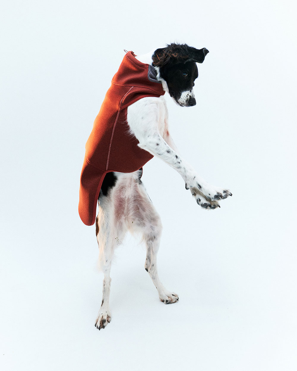 INTER FLEECE JACKET バーガンディー