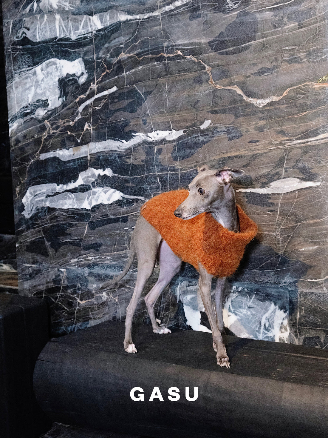 【全犬種対応】Roseau ファイン＆ウォーム アルパカニットベスト メイプル