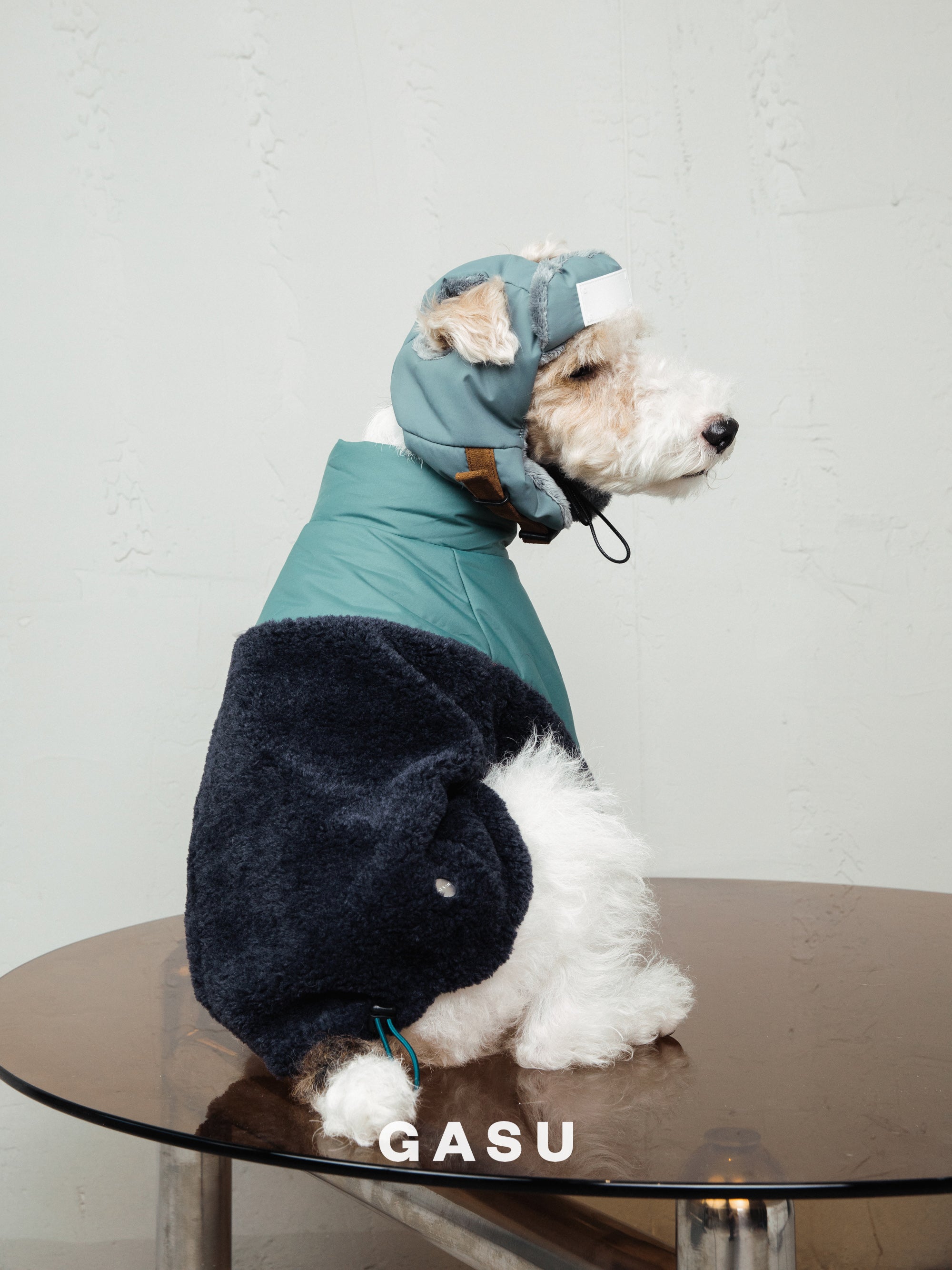 【全犬種対応】Variete ３M™️シンサレート あったかフリース中綿ジャケット