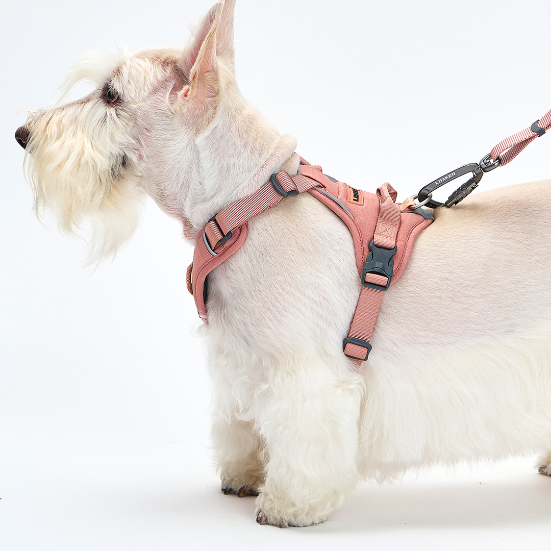 TREKTAIL Harness ピンク