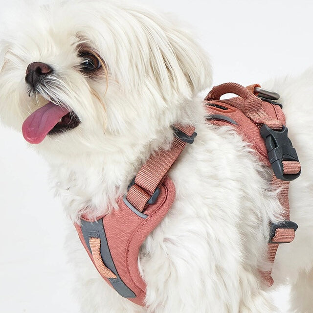 TREKTAIL Harness ピンク