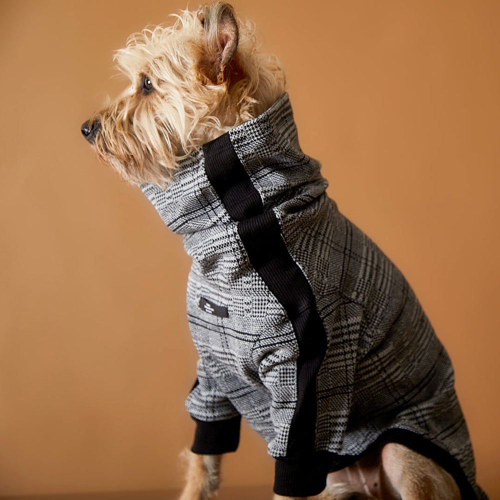 THE STRIPED DOG BLUSH マルチカラーフーディー M THE STRIPED DOG BLUSH マルチカラーフーディー M - 犬用品