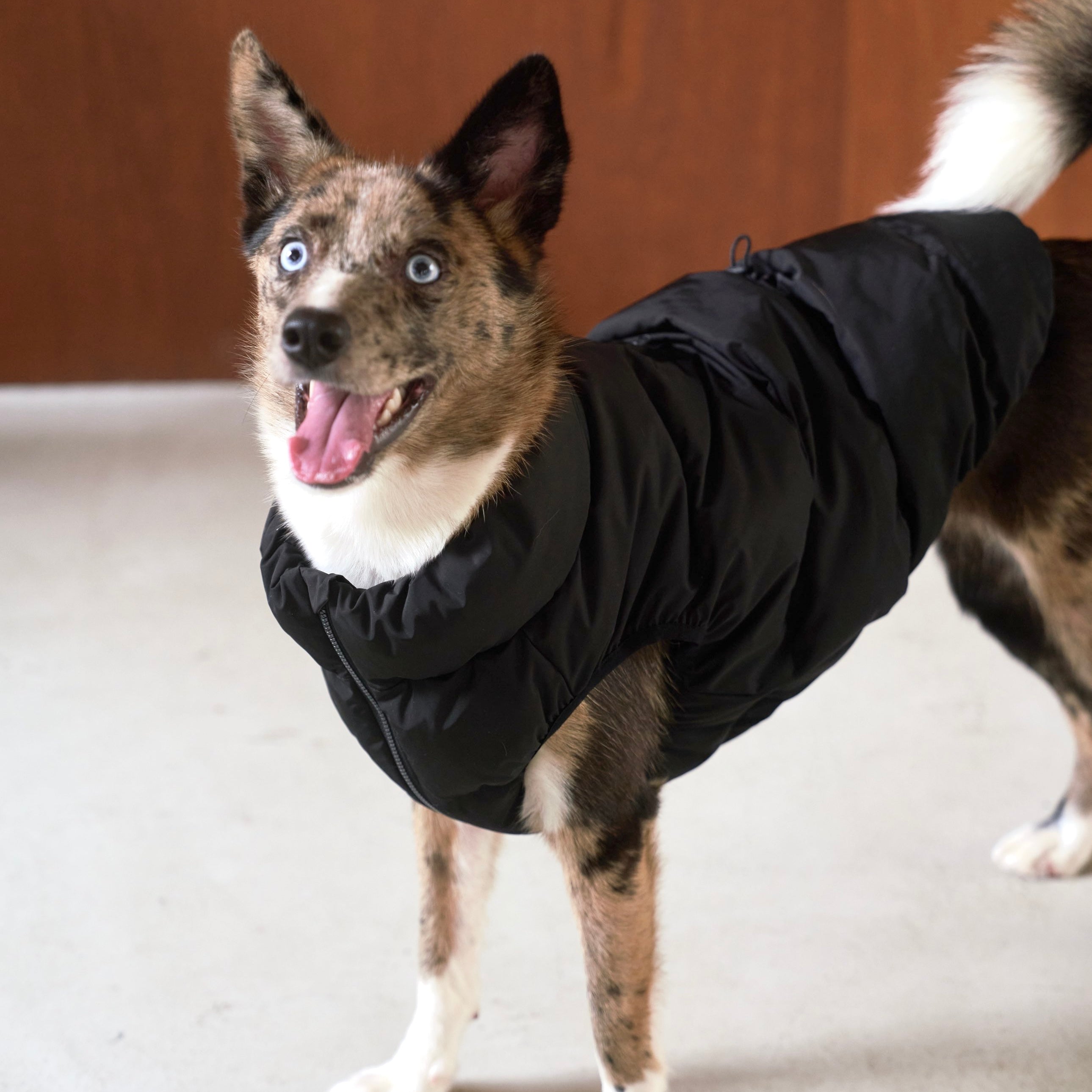 Cushy Puffer Vest ブラック