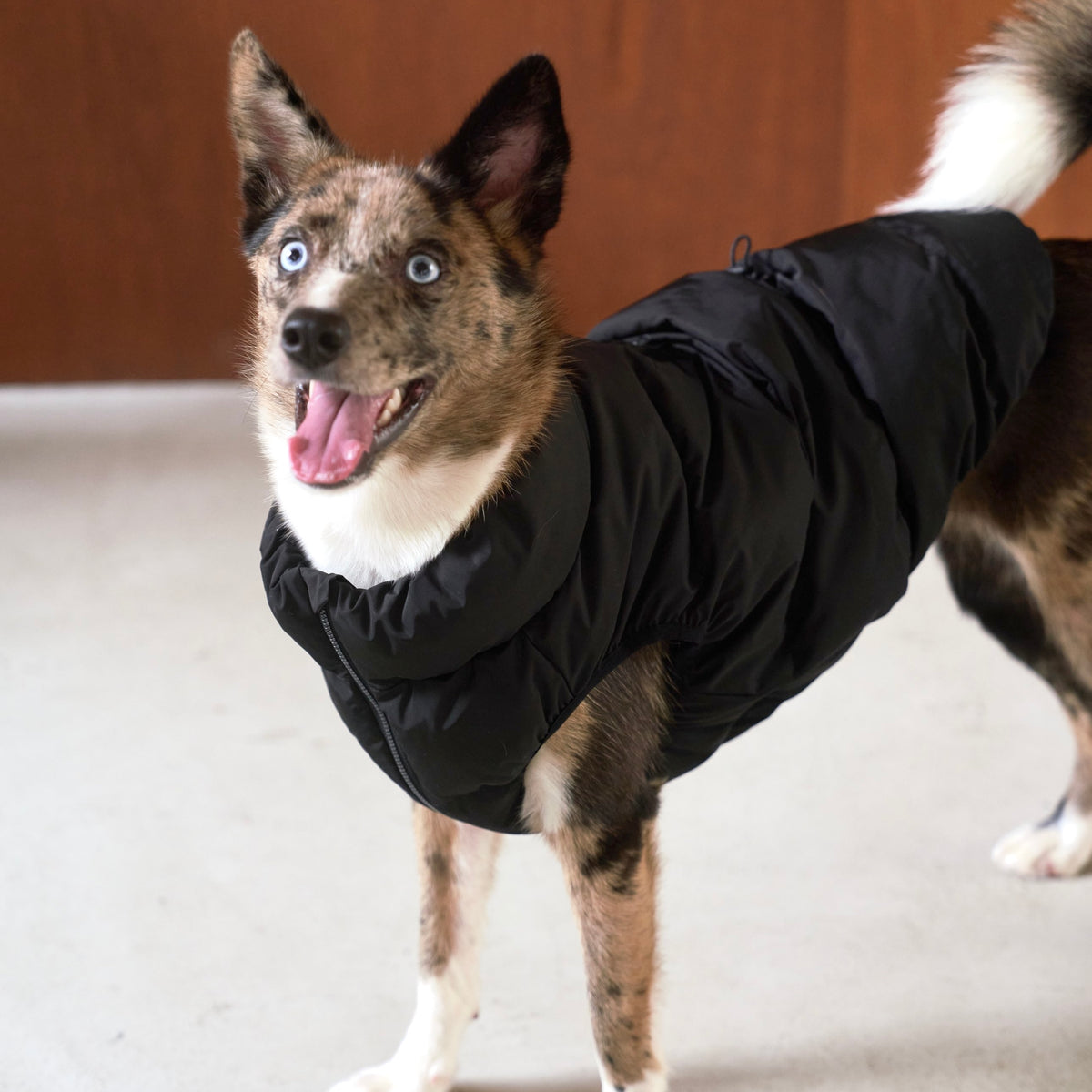 CushyCushy CUSHY PUFFER VEST ブラック サイズ8 Cushy Puffer Vest - Pure Black