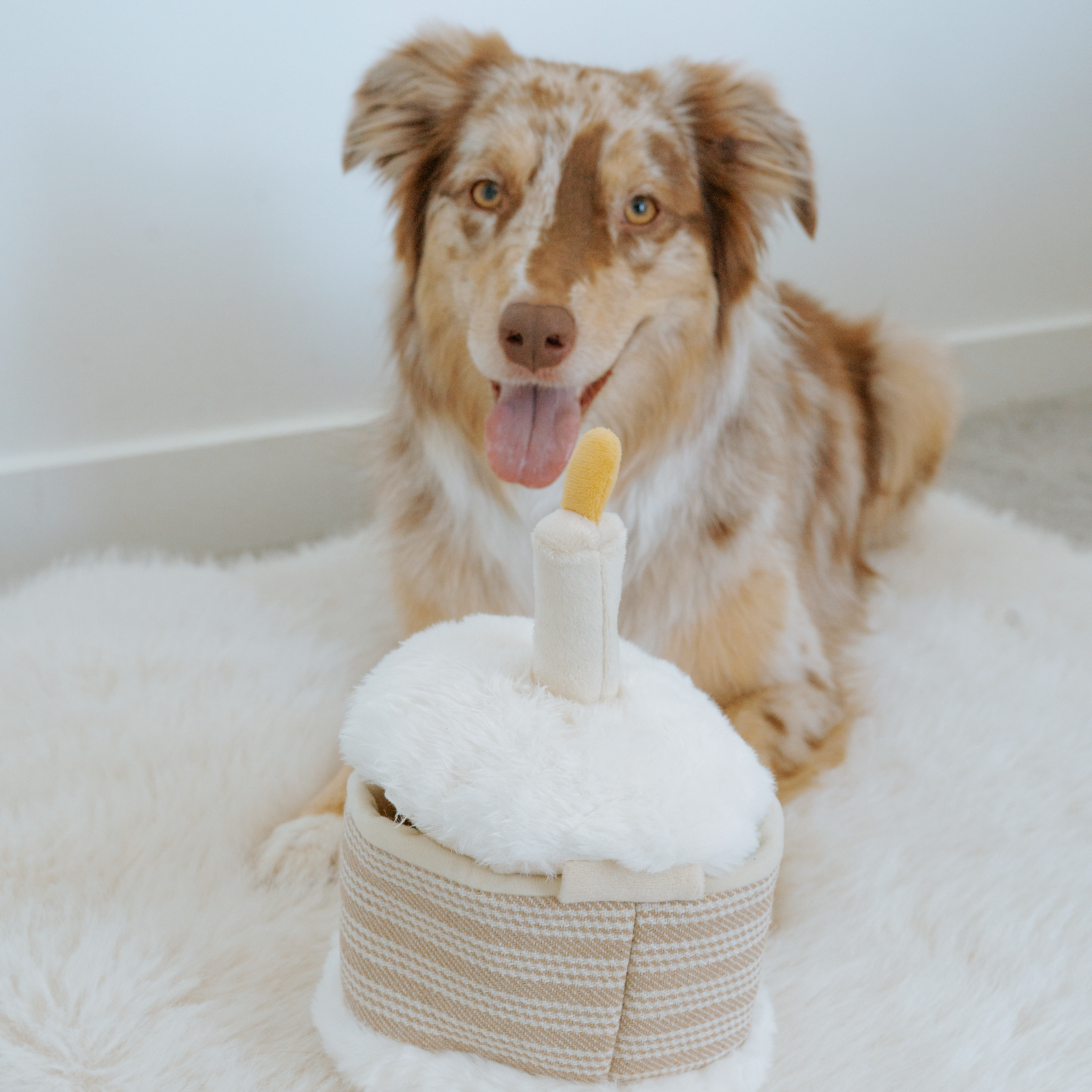 BIRTHDAY CAKE