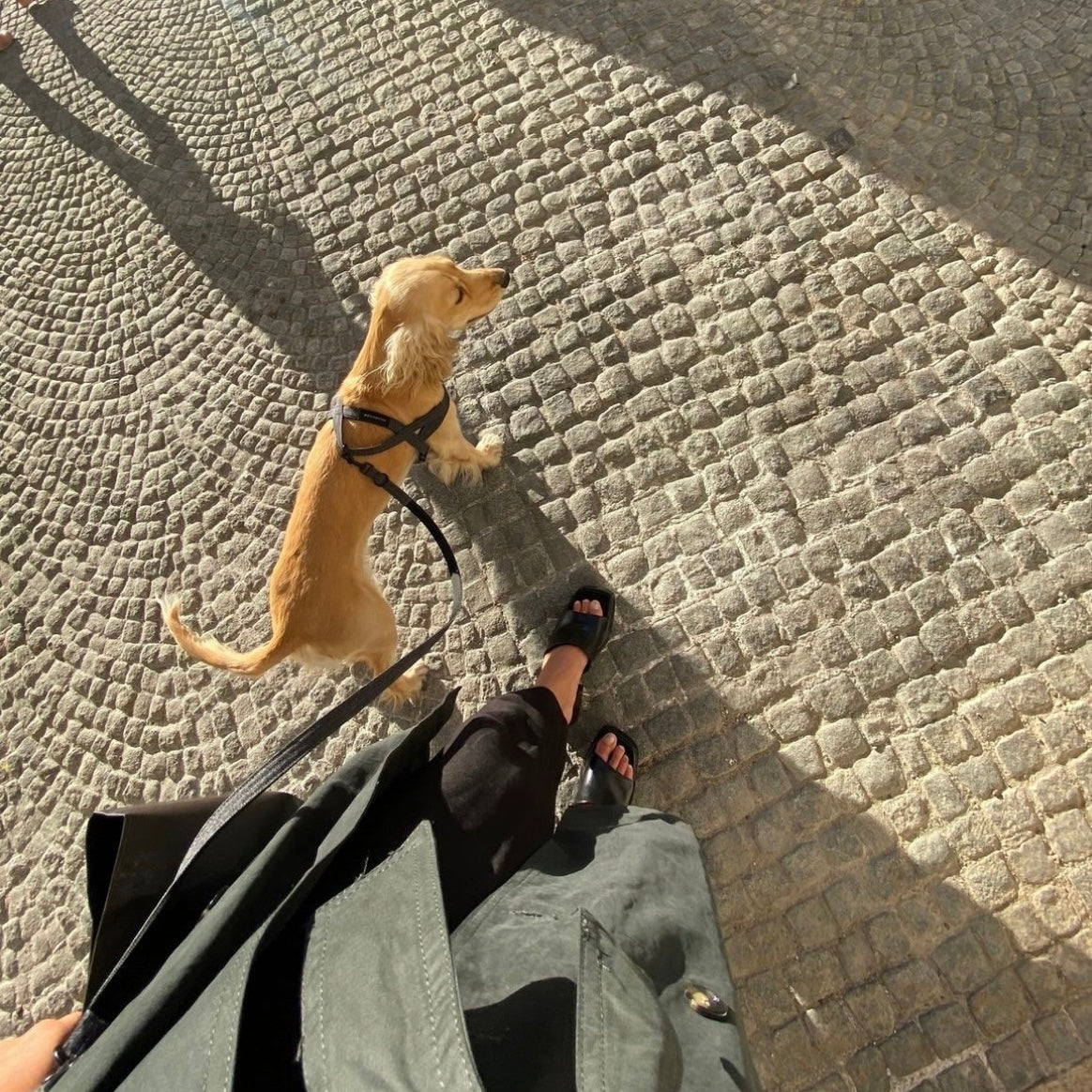 SOFT ROCK HARNESS ブラック