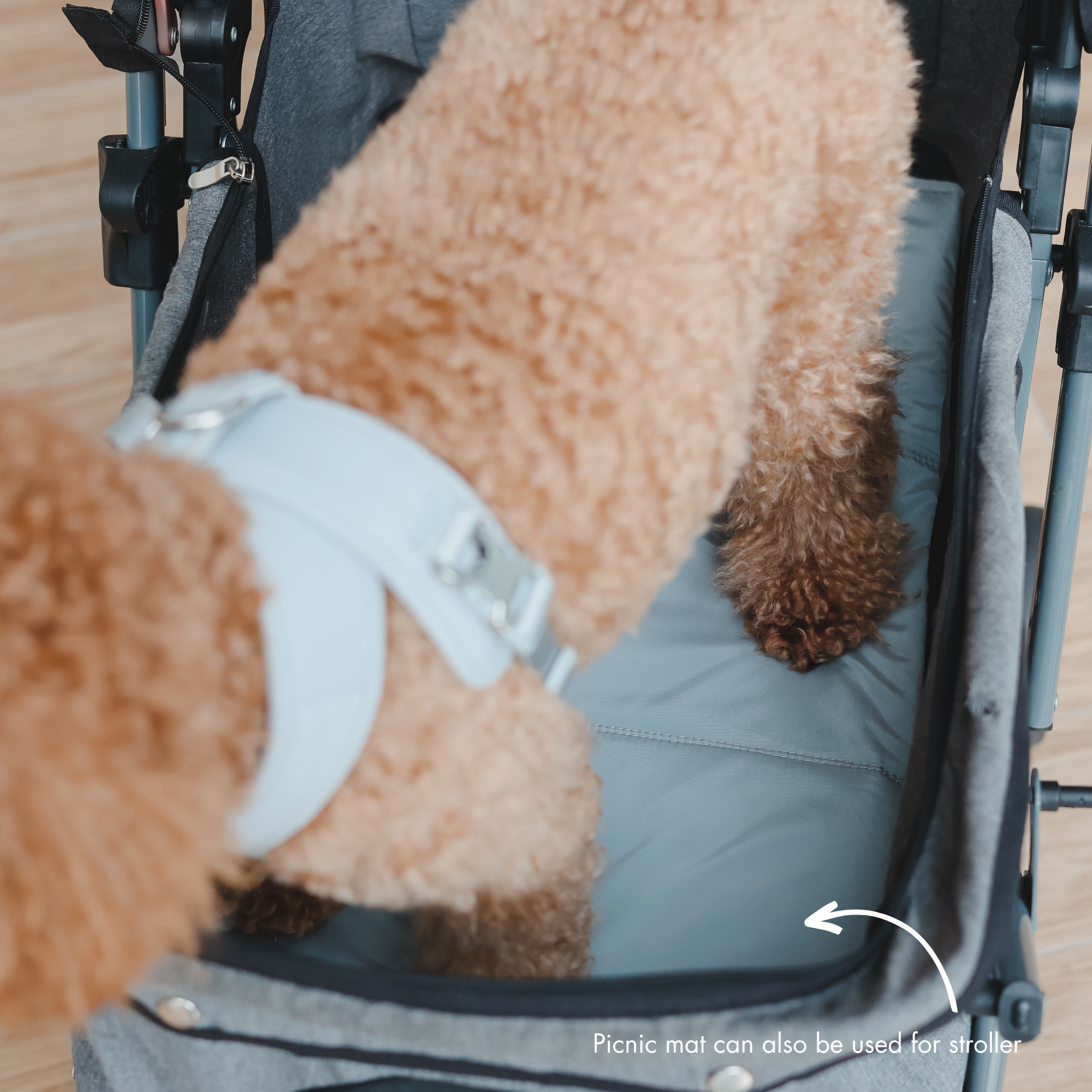 Breeze Picnic&Stroller Bag （トラベルマット付き）ライトブルー