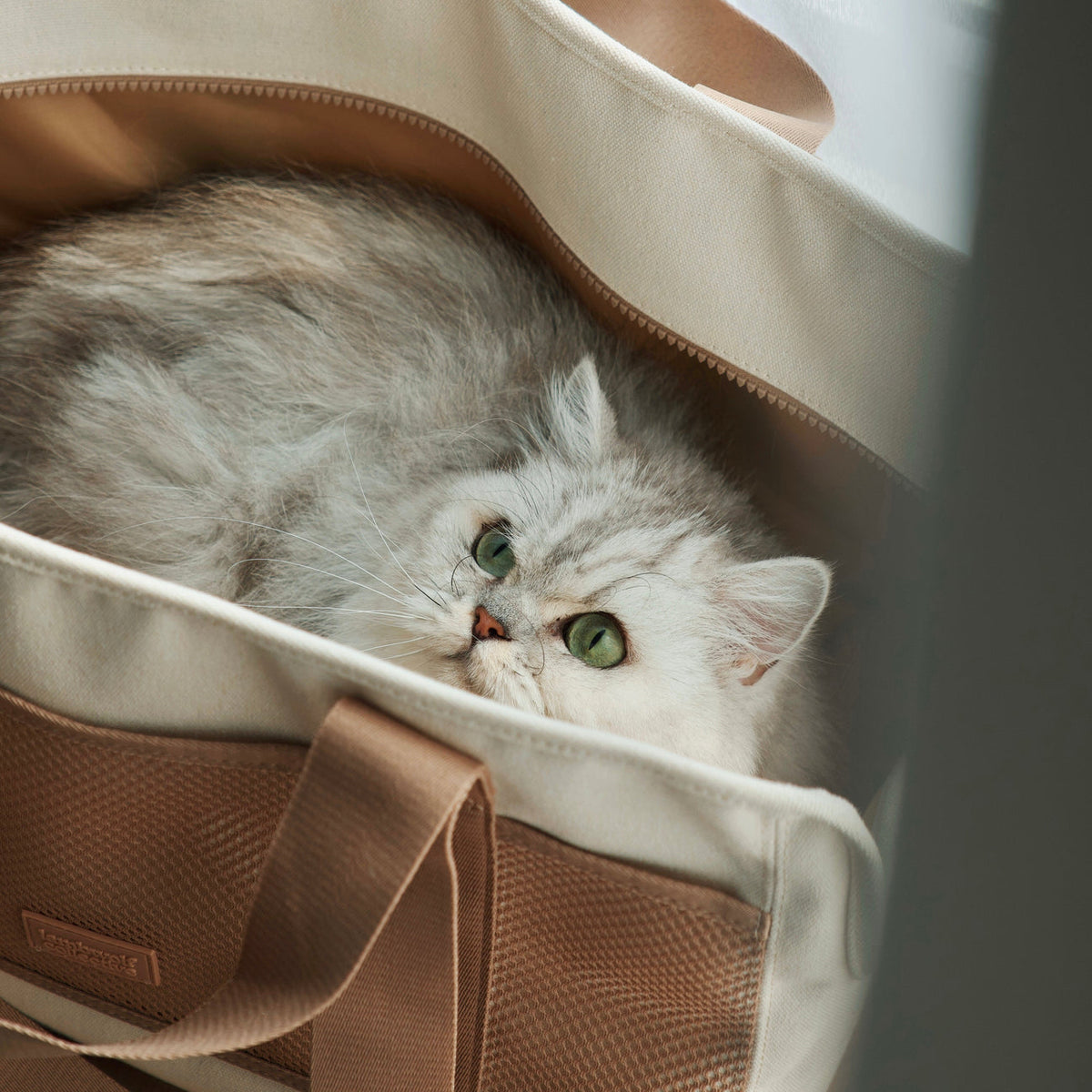 SUBWAY Petite Pet Carrycot CAMEL – Ray Dog Kyoto
