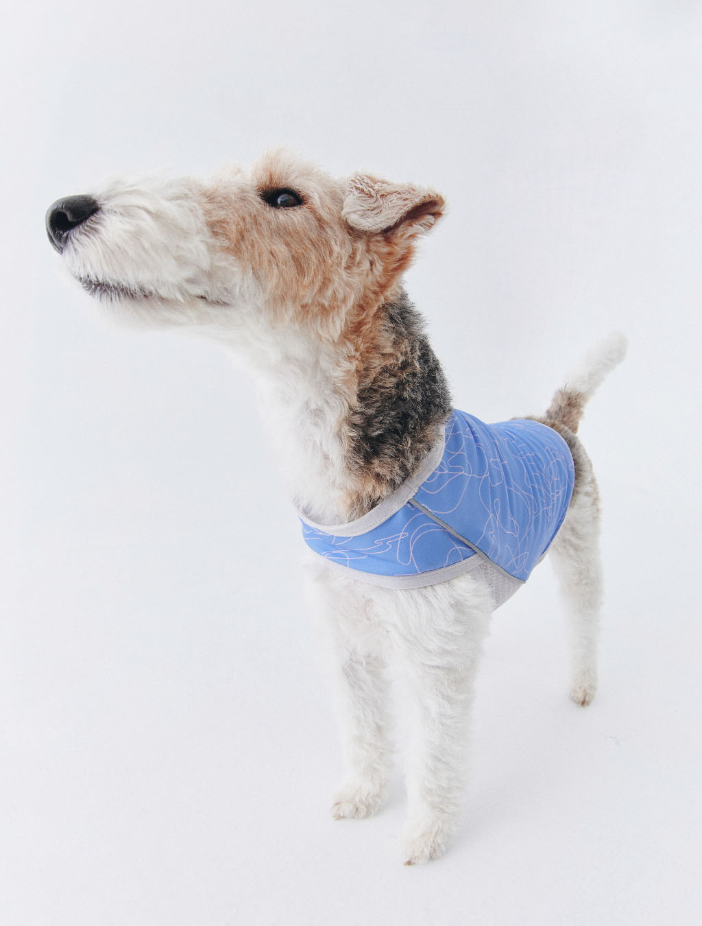 WEISS COOLING VEST BLUE