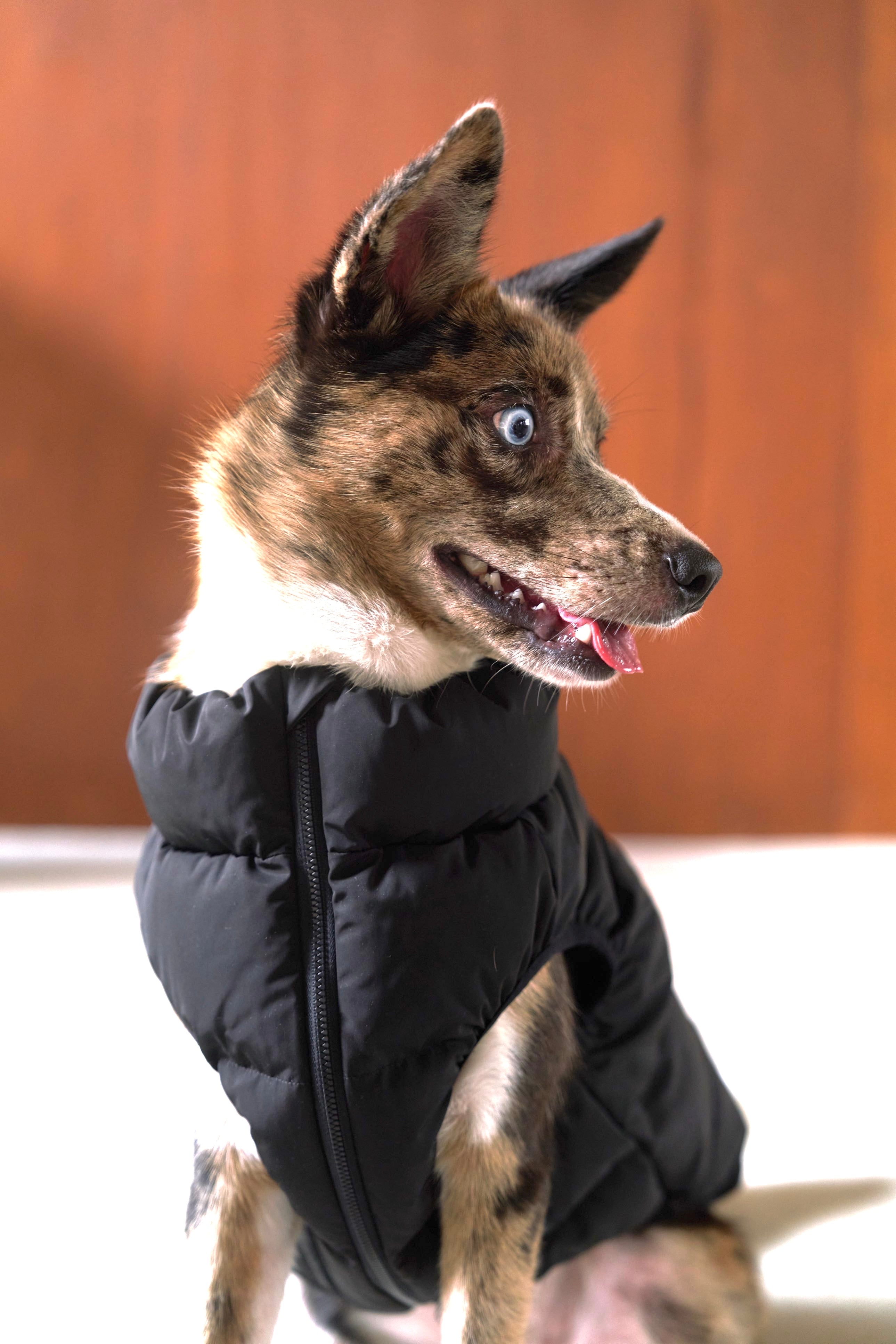 Cushy Puffer Vest ブラック