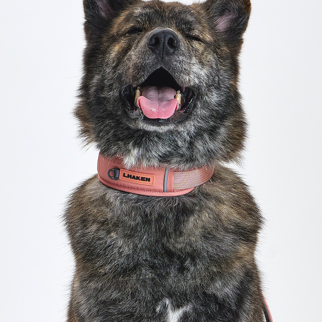 TREKTAIL Collar ピンク