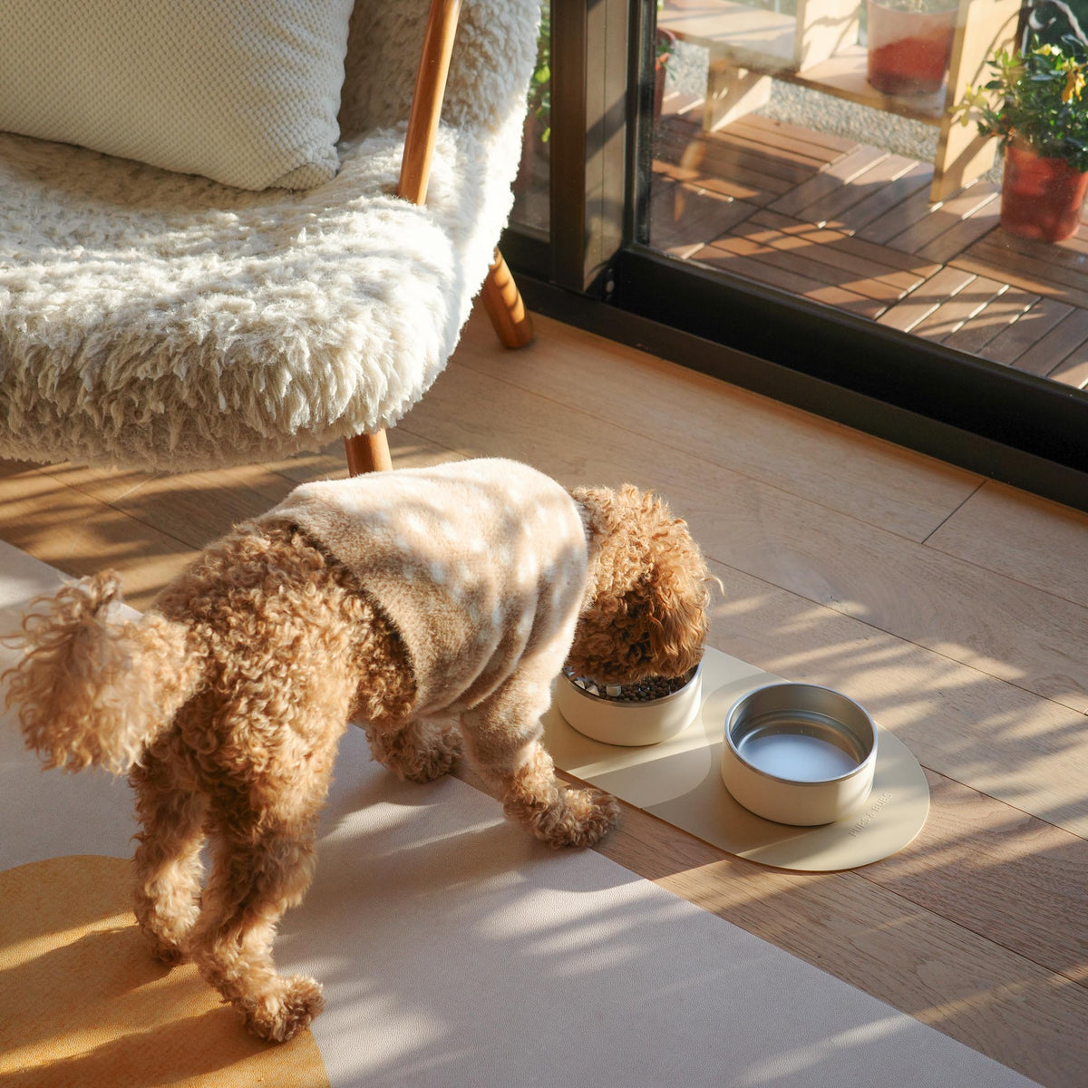 ステンレススチールボウルセット　ココナッツ