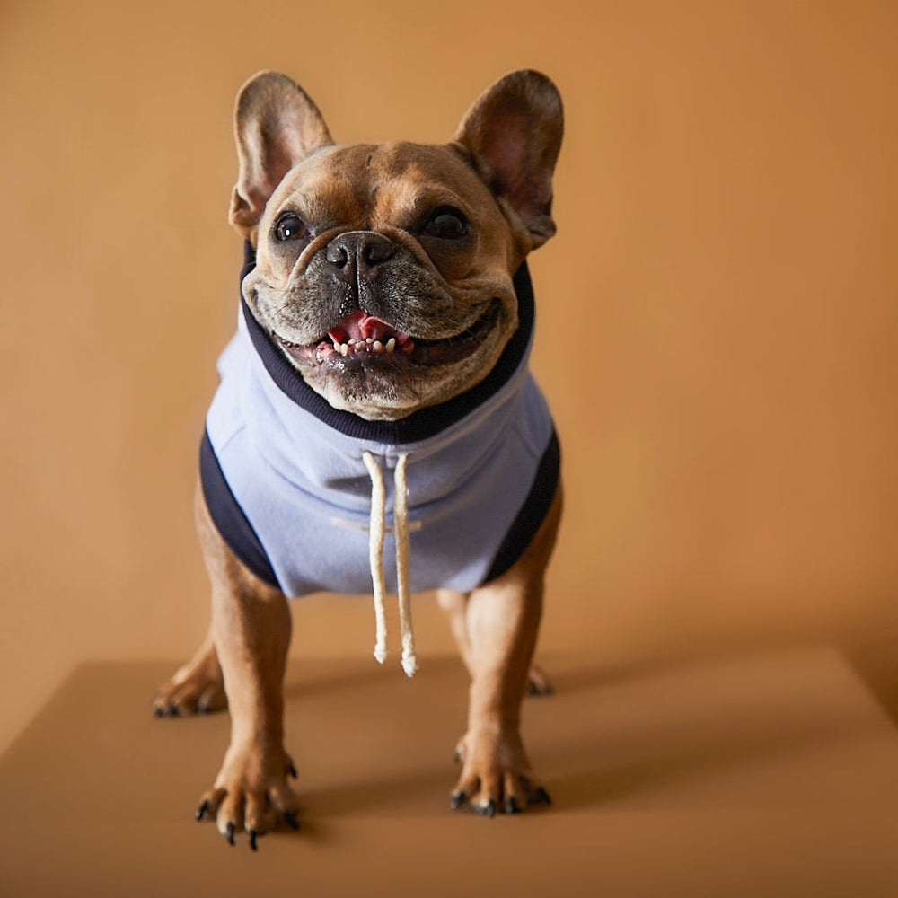 Wear｜Ray Dog Kyoto