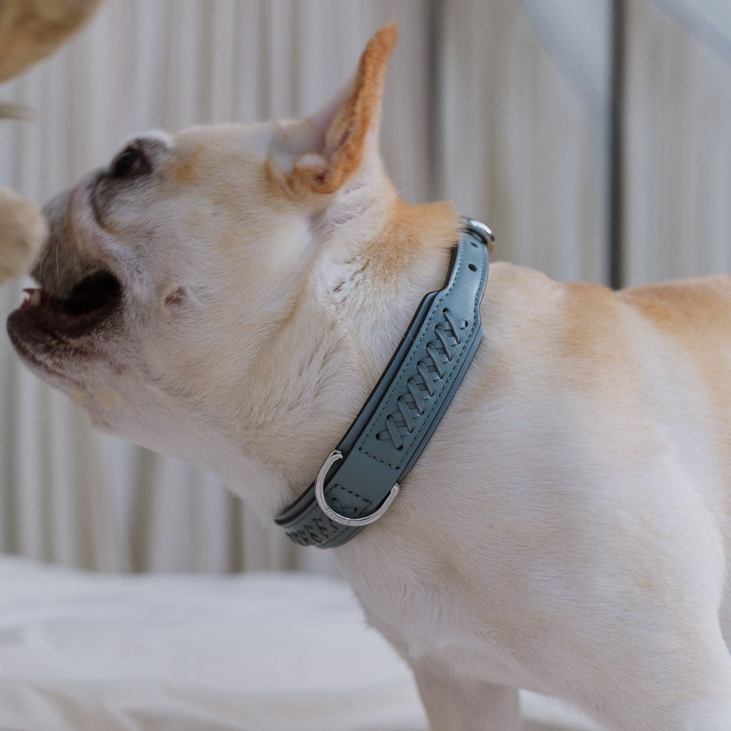 Mistico Dog Collar XLサイズ