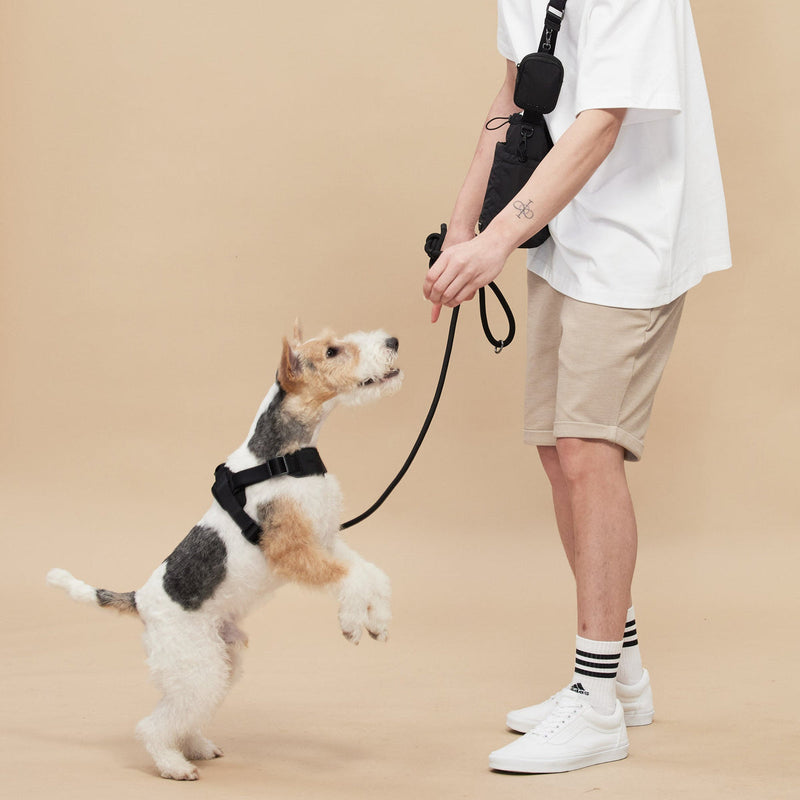 Rover Harness ブラック