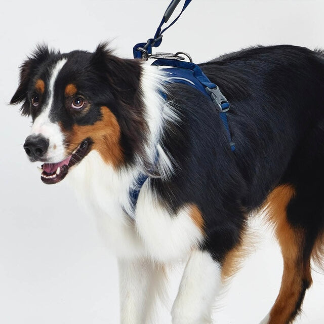 TREKTAIL Harness ネイビー