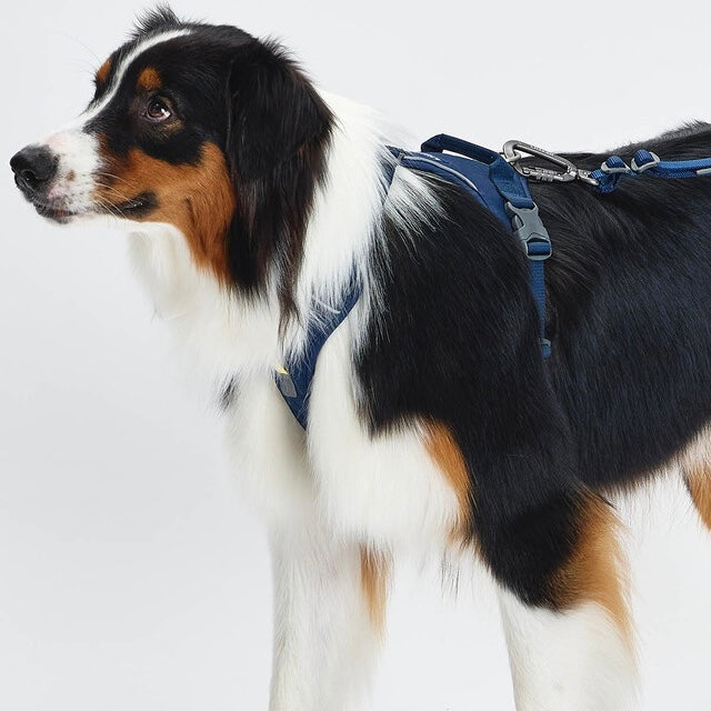 TREKTAIL Harness ネイビー