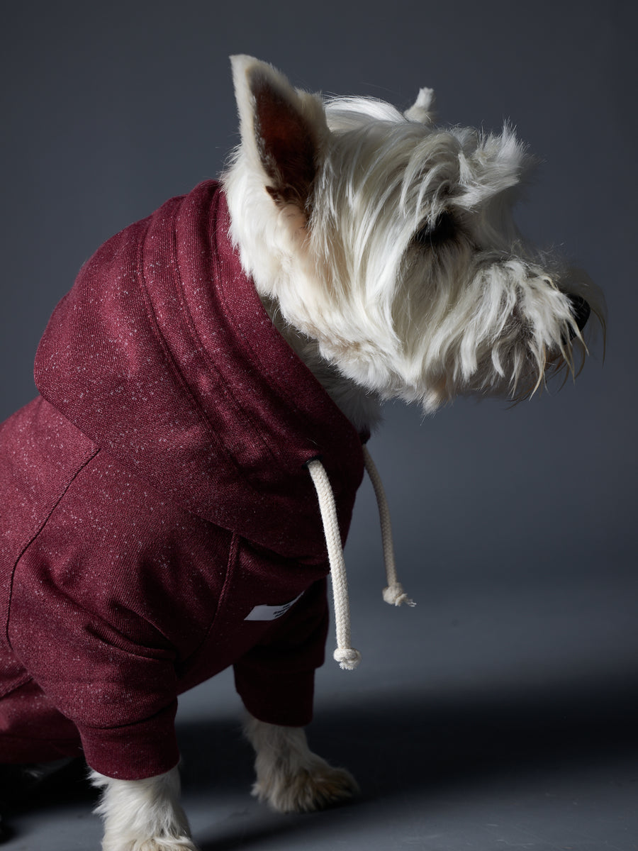 FONTANA ベーシックパーカー バーガンディ