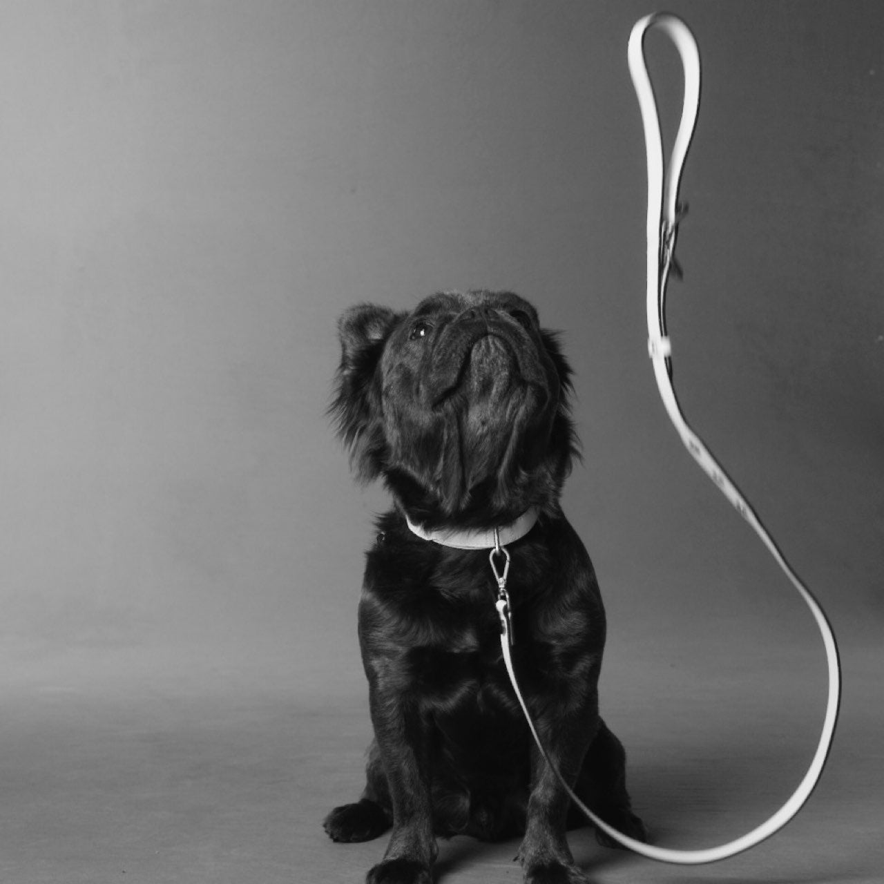 CLASSIQUE COLLAR シナモン