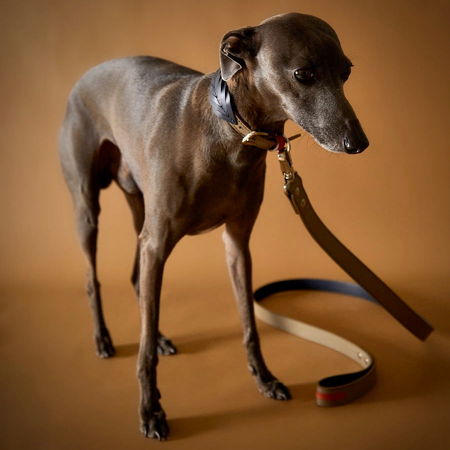 SOLEIL Leather Collar&Leash Set