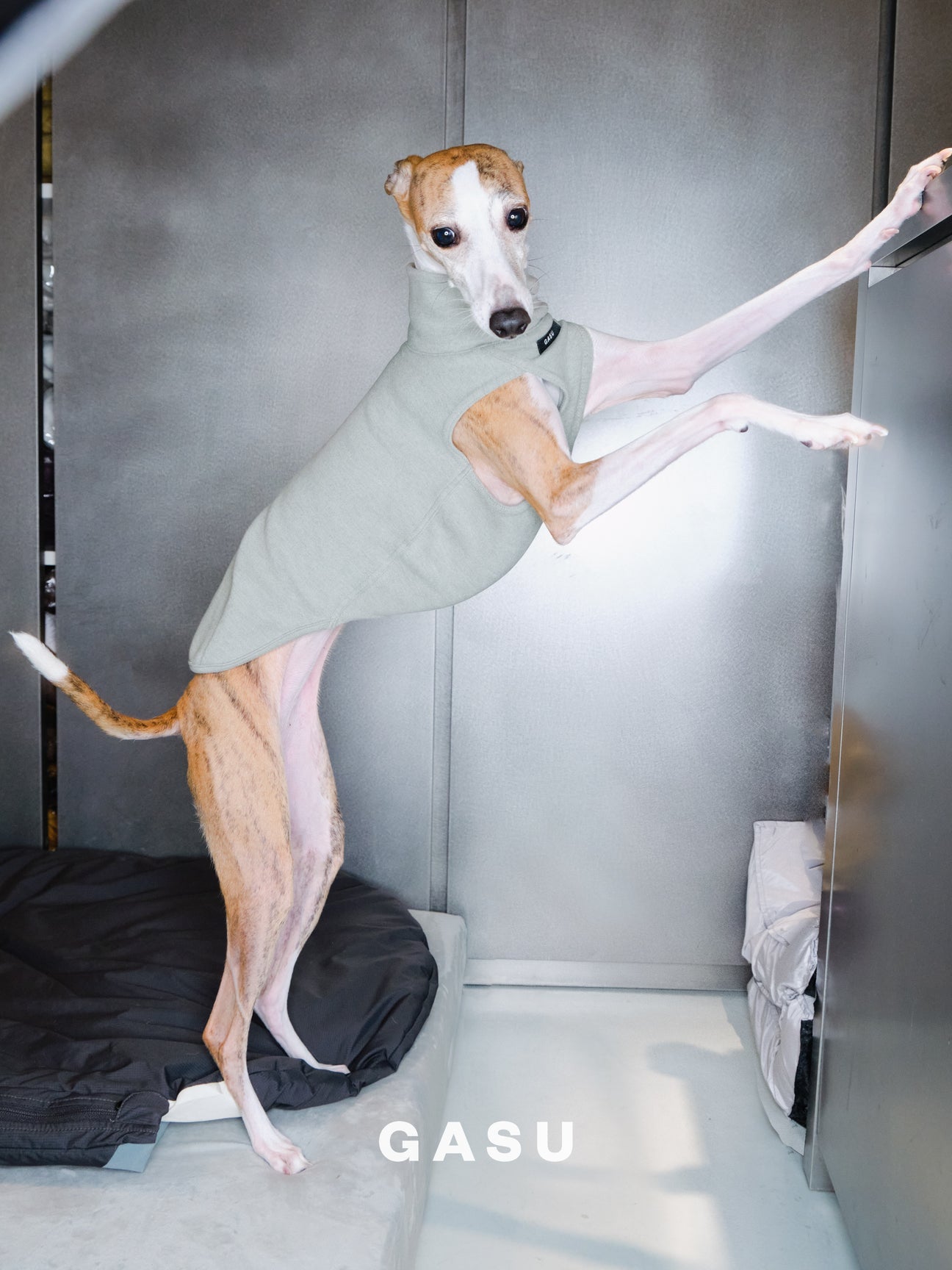 Flâner タイトフィットベスト ペールグリーン