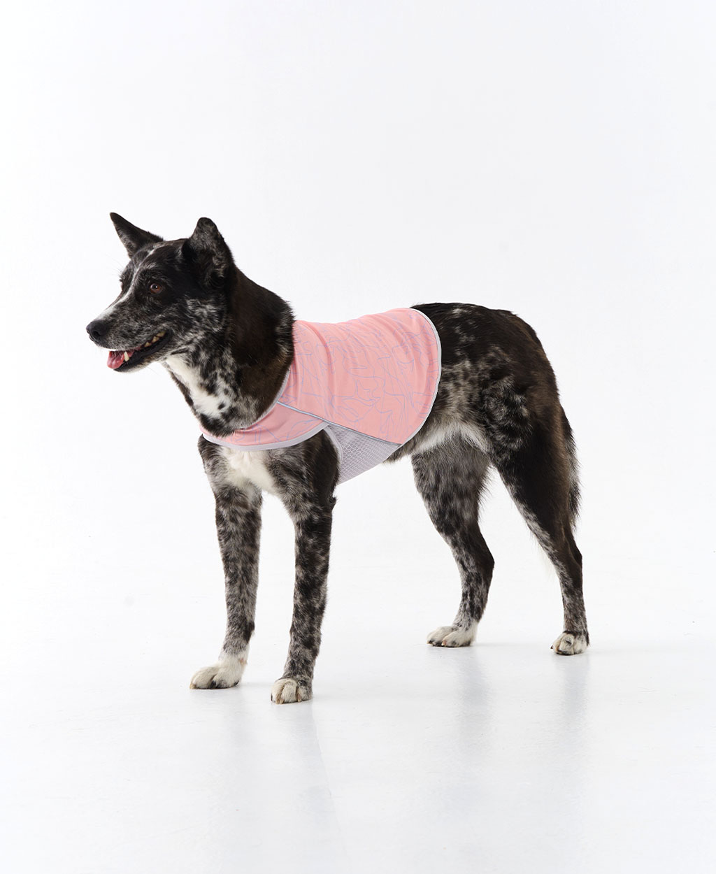 WEISS COOLING VEST PINK