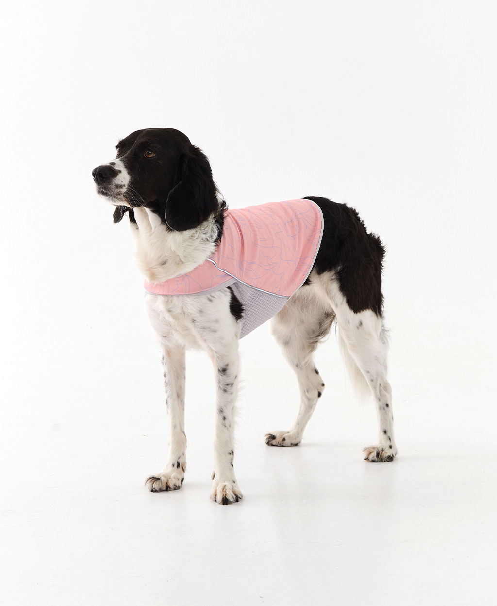 WEISS COOLING VEST PINK