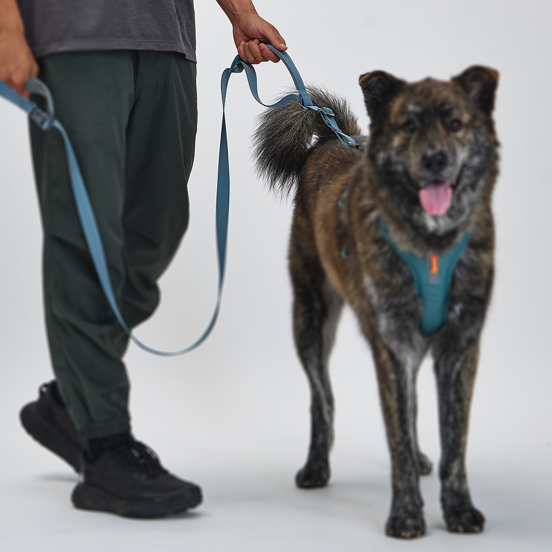 TREKTAIL Leash Hyper ピンク