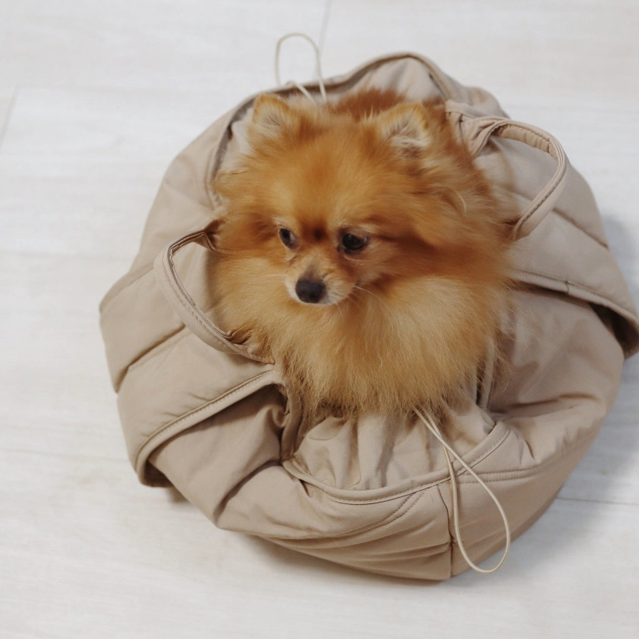 OLLA PETITE PET CARRYCOT CAMEL