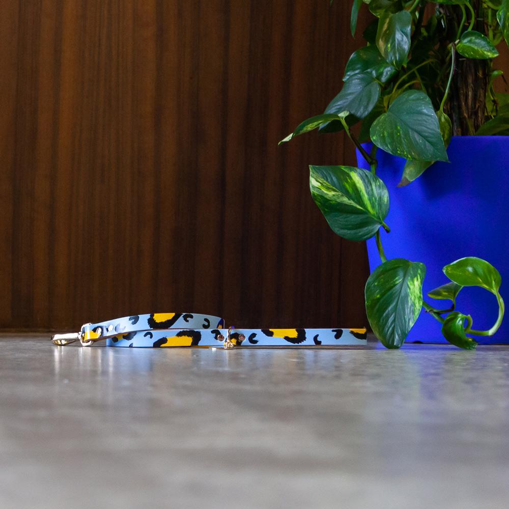 ANIMAL DOG LEASH SKY