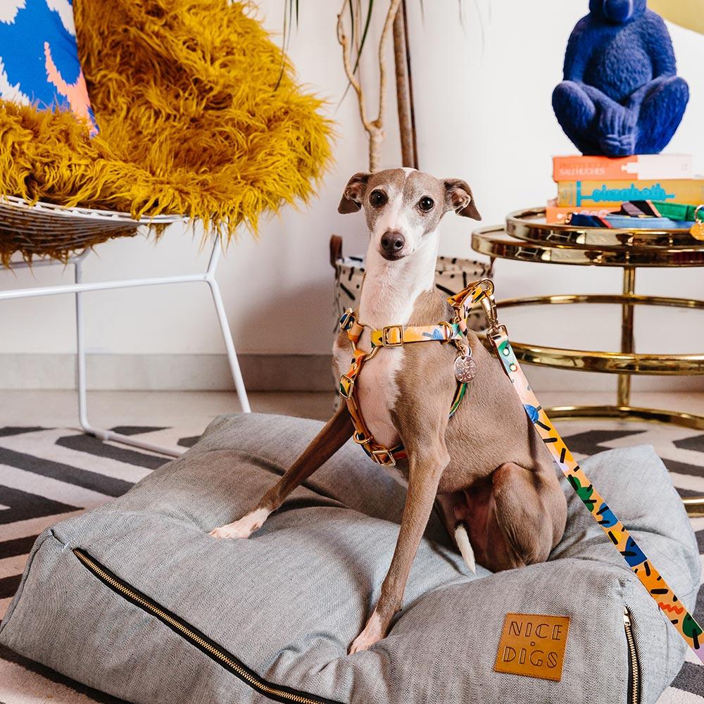 BLOCK PARTY DOG HARNESS Lサイズ