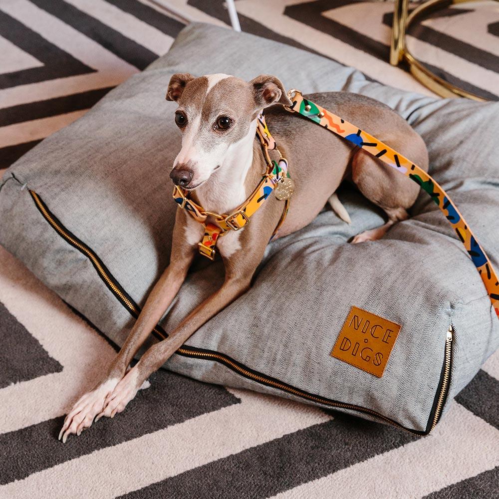 BLOCK PARTY DOG HARNESS Lサイズ