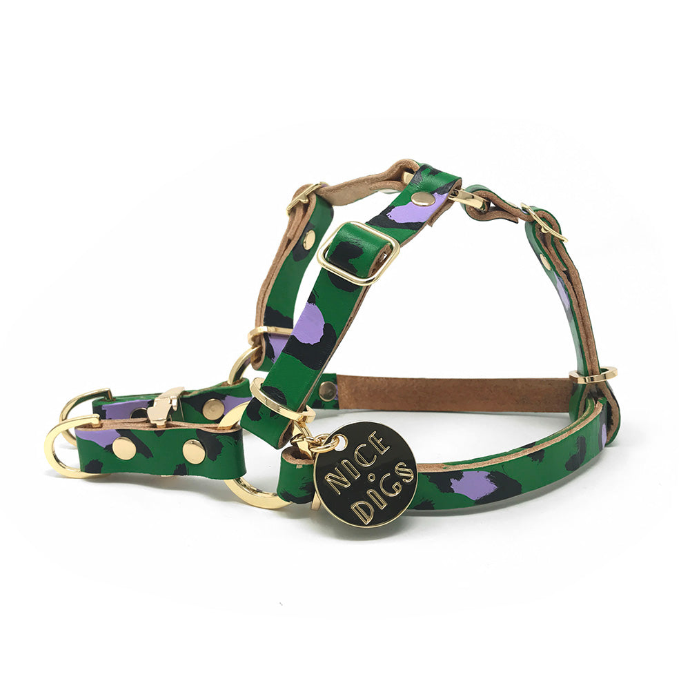 NICE DIGS | Posie Leather Dog Harness in Sunshine | DOG & CO.
