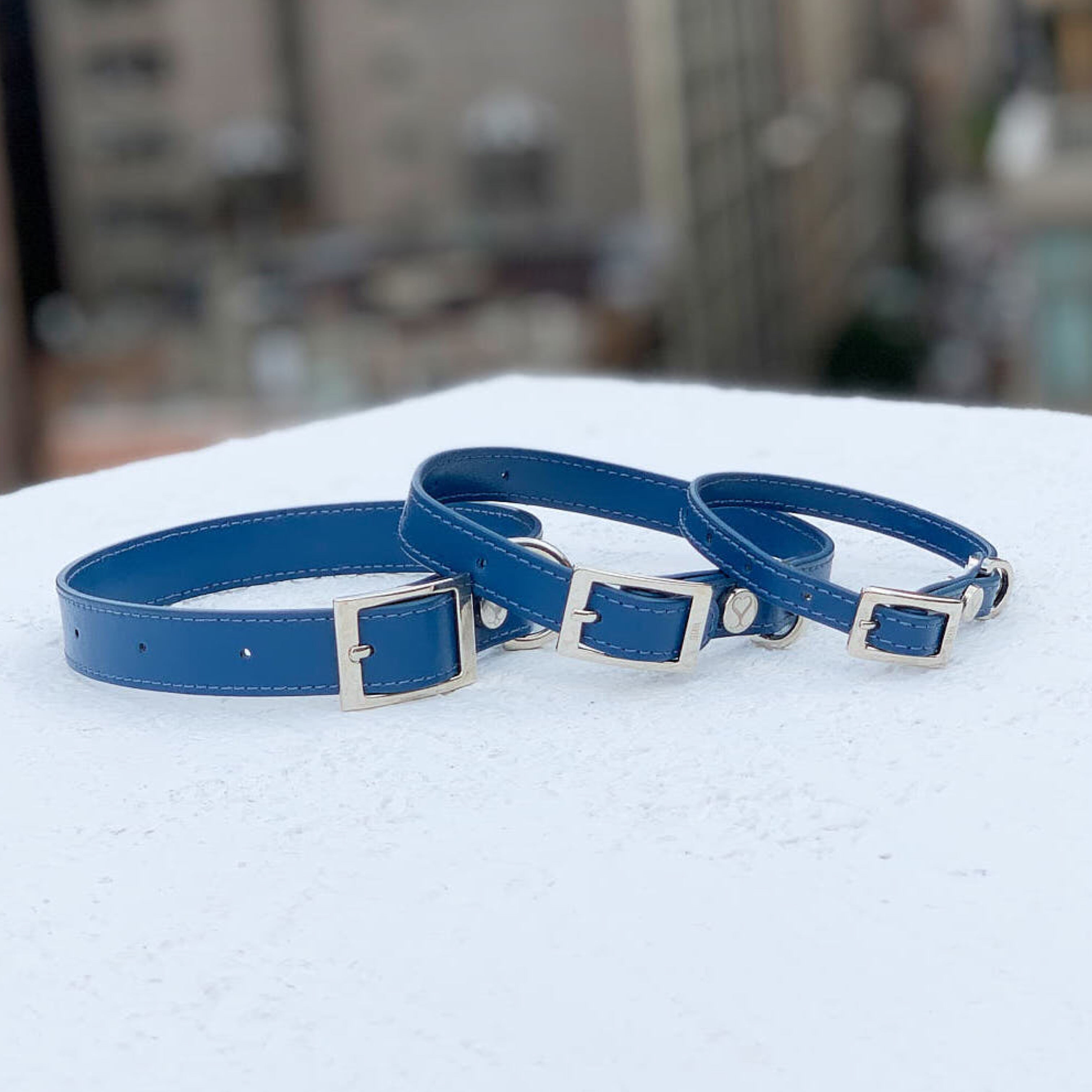 SHAYA テイラーカラー コバルト