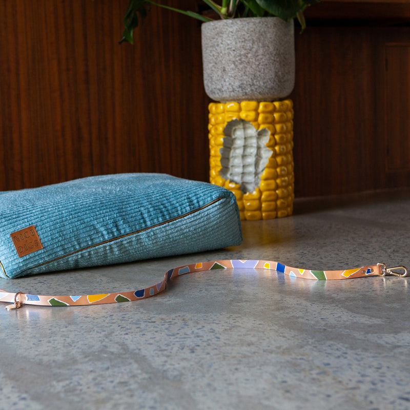 ROCK CANDY DOG LEASH