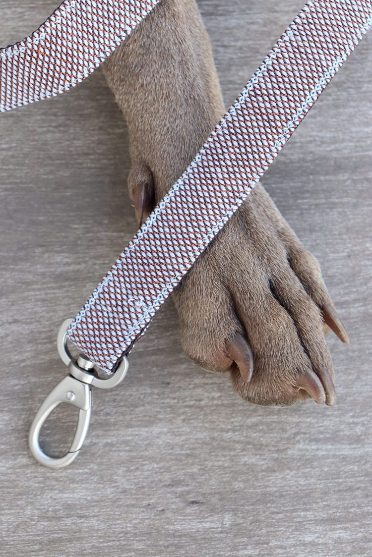 SCOOT CASTANO LEASH