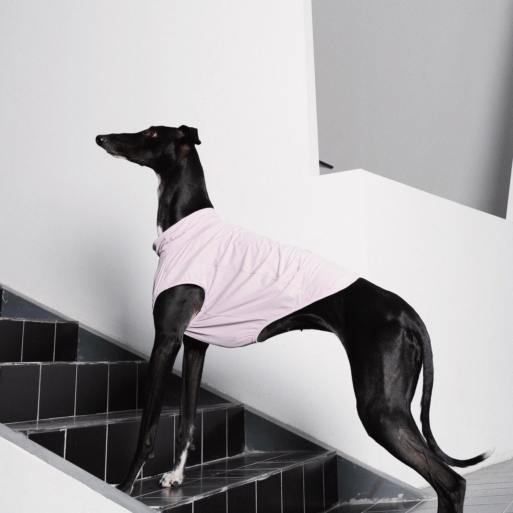 【全犬種対応】Nude UPF50+ Cooling Vest モーブ