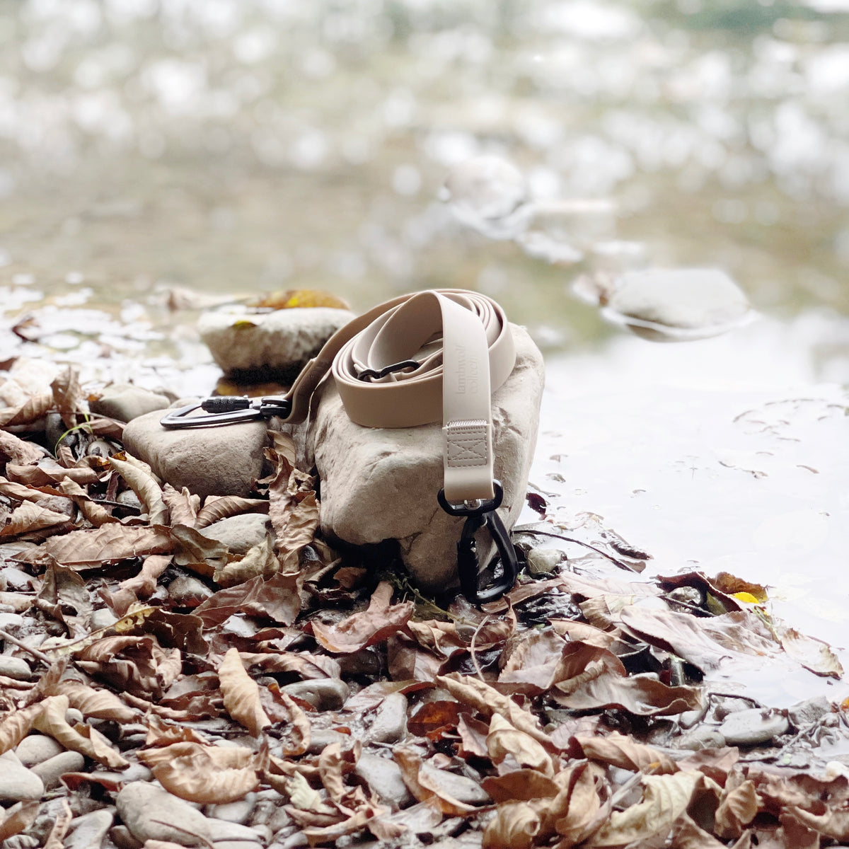 MELLEM X LEASH  CABIN (オートロック式カラビナタイプ）