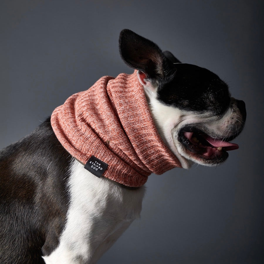 LANCASTER リバーシブル リングスカーフ オレンジ×ダークグリーン Lサイズ