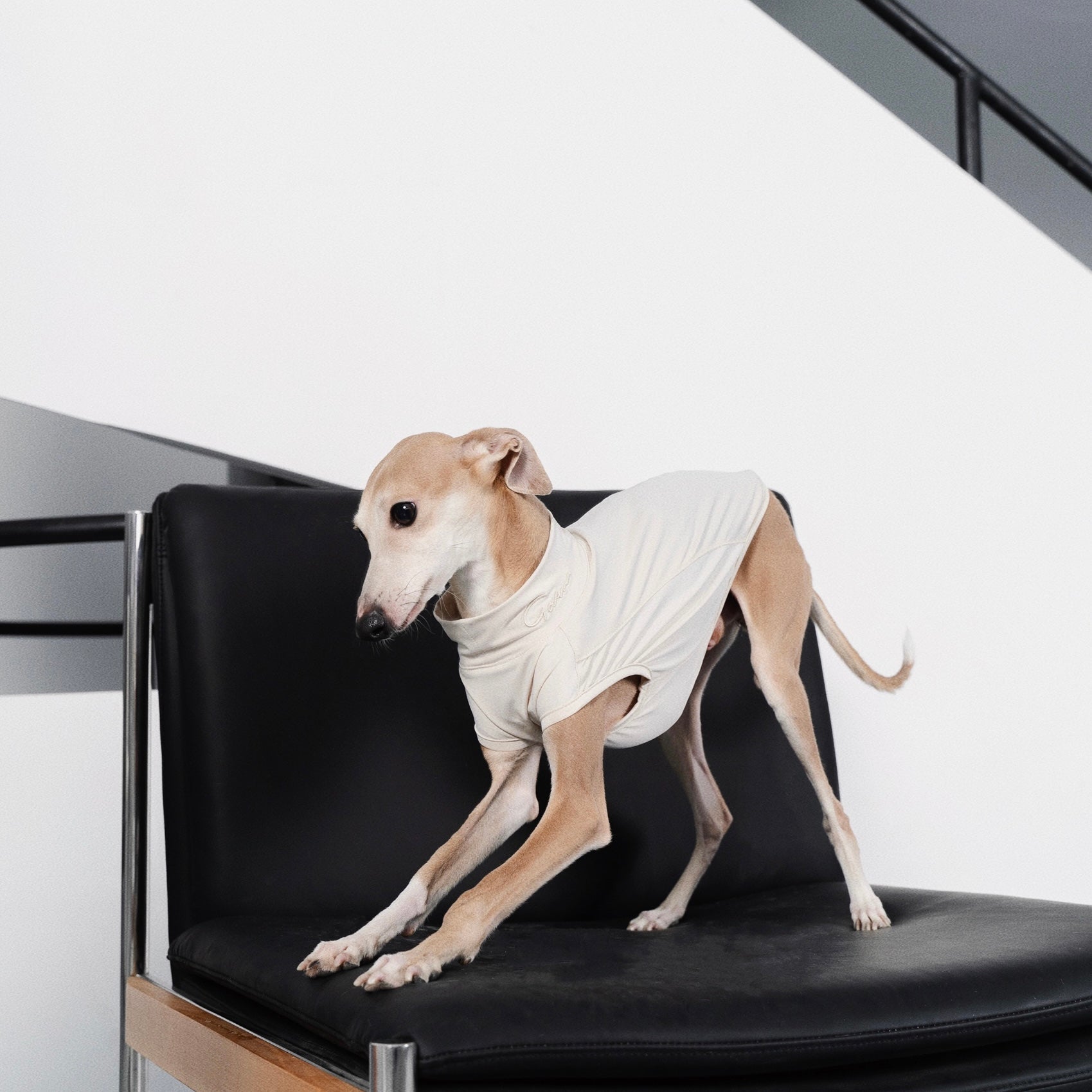 【全犬種対応】Nude UPF50+ Cooling Vest ライトベージュ