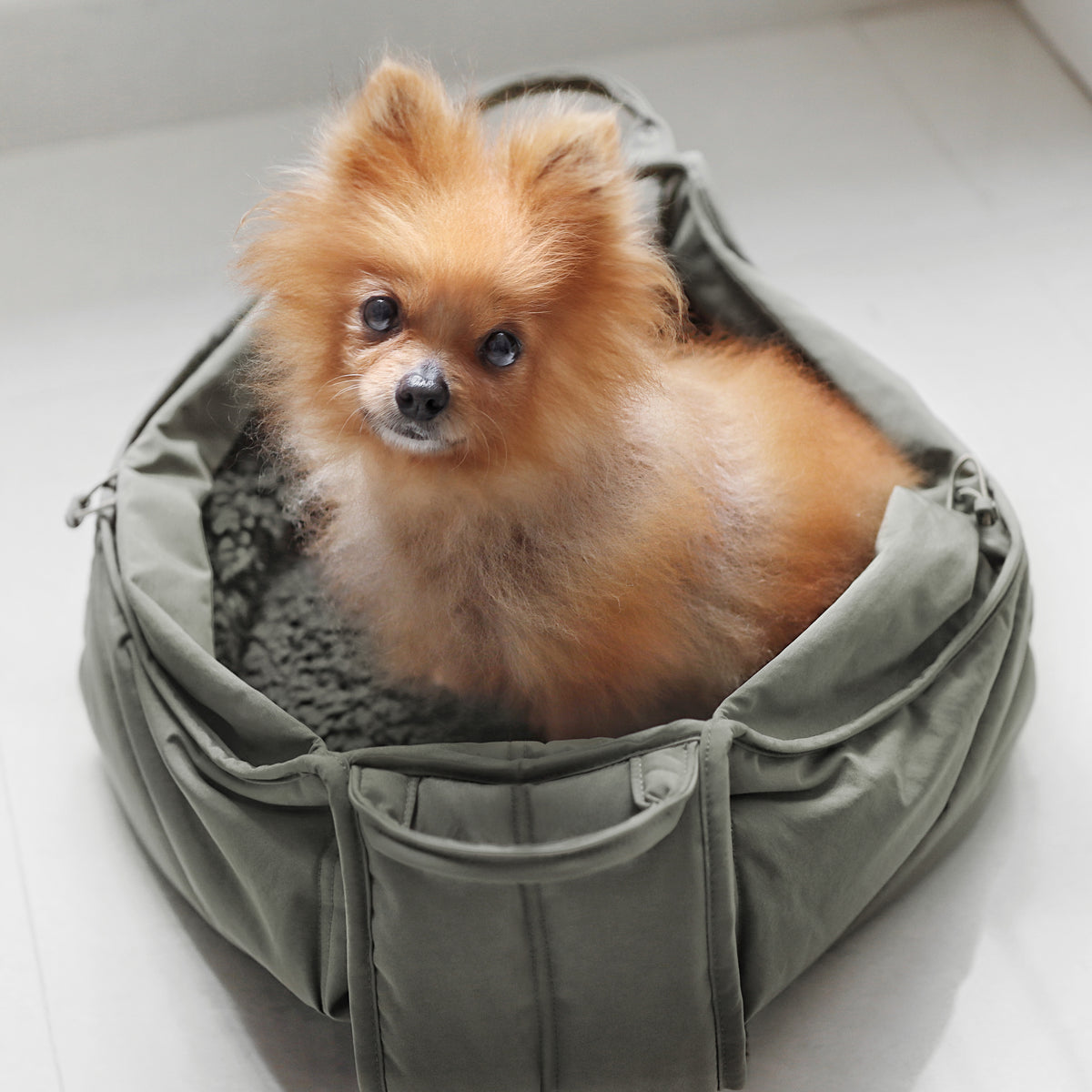 OLLA PETITE PET CARRYCOT FERN