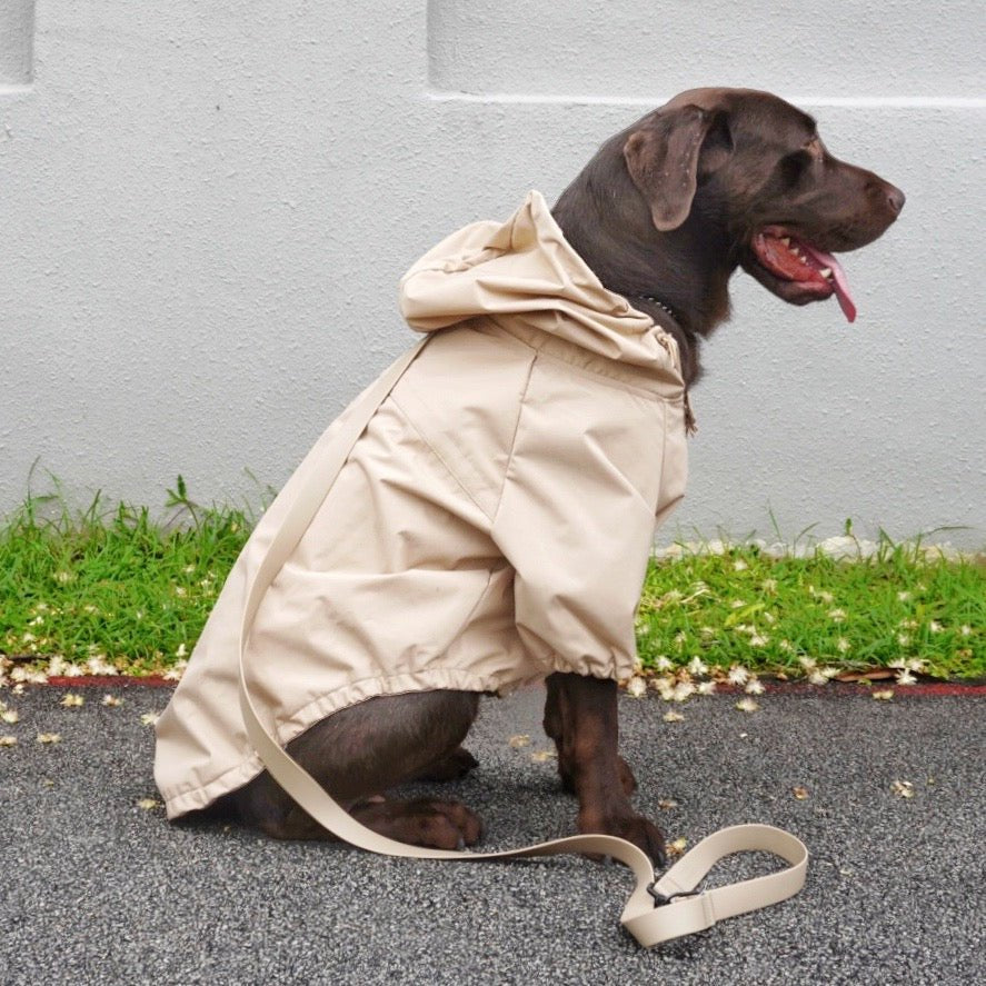 BROOKLYN Raincoat CAMEL