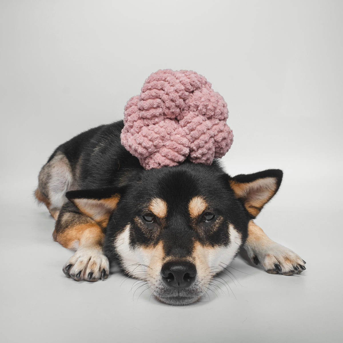 NOUNOUNOU CORDUROY ROSE