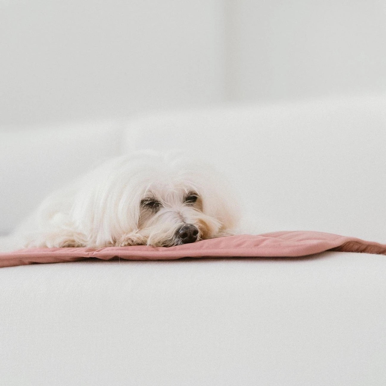 ORII ultra light city travel mat TERRA ROSA