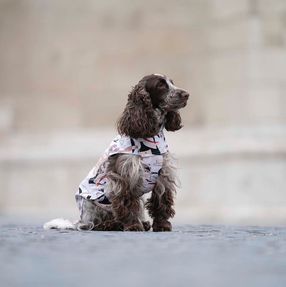 City Breeze dog raincoat™️ ドッグレインコート サバンナ