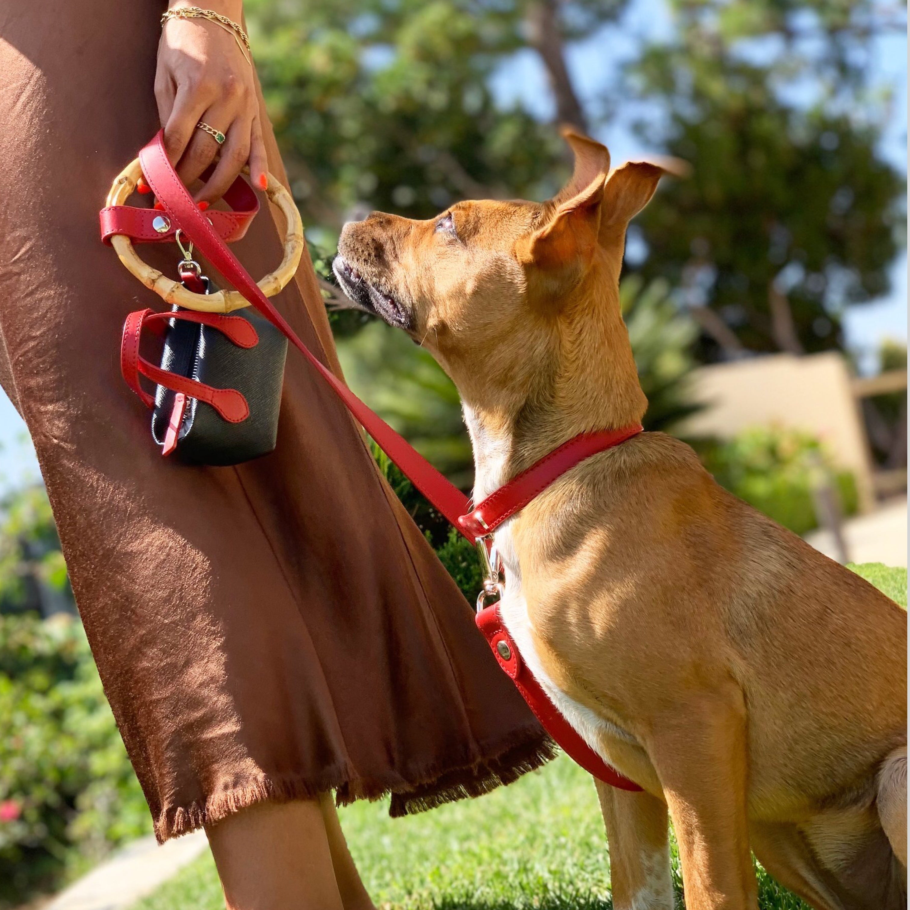 SHAYA サーシャリーシュ ルビー