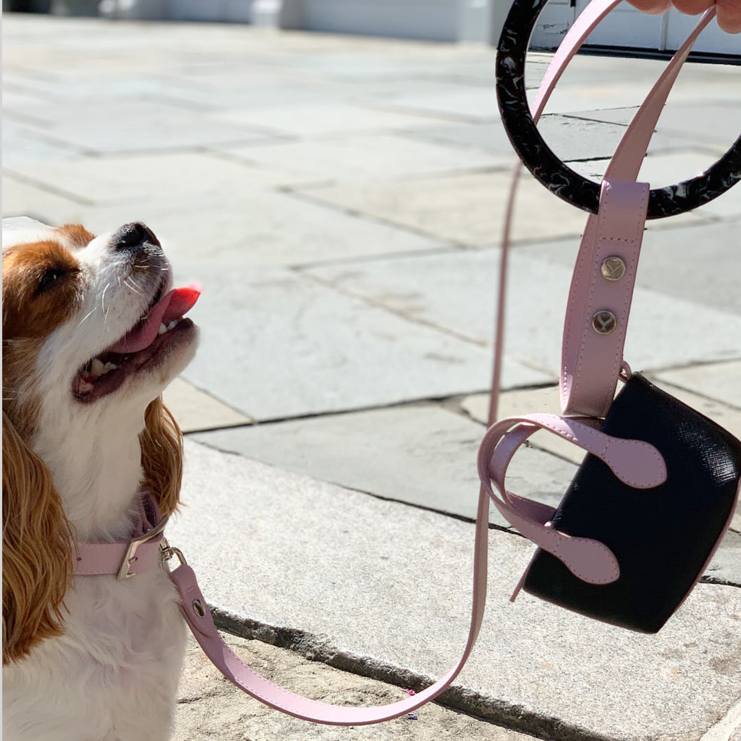 SHAYA スーザンリーシュ ブラッシュピンク