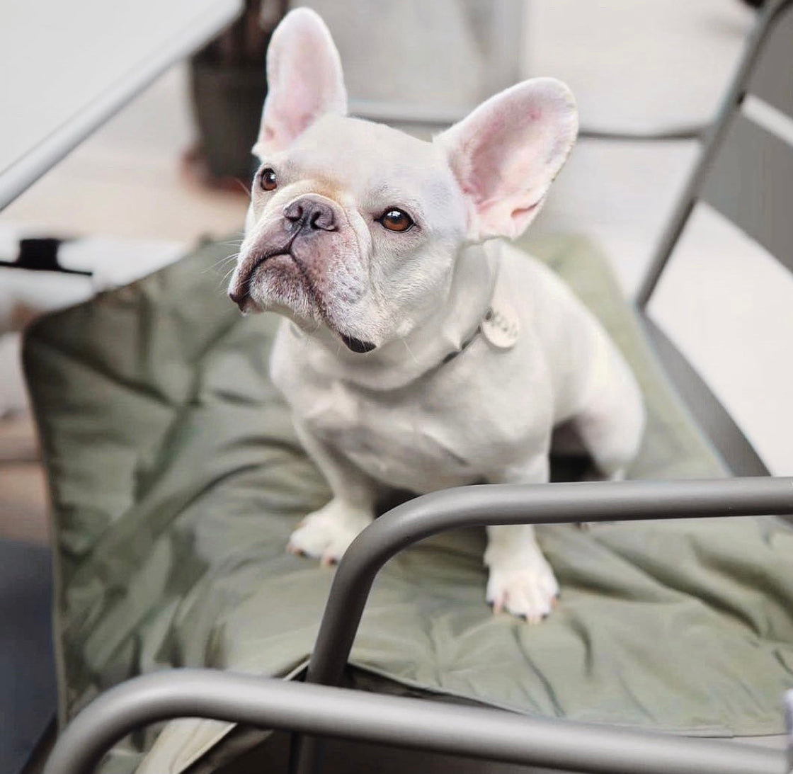 ORII ultralight city travelmat FERN