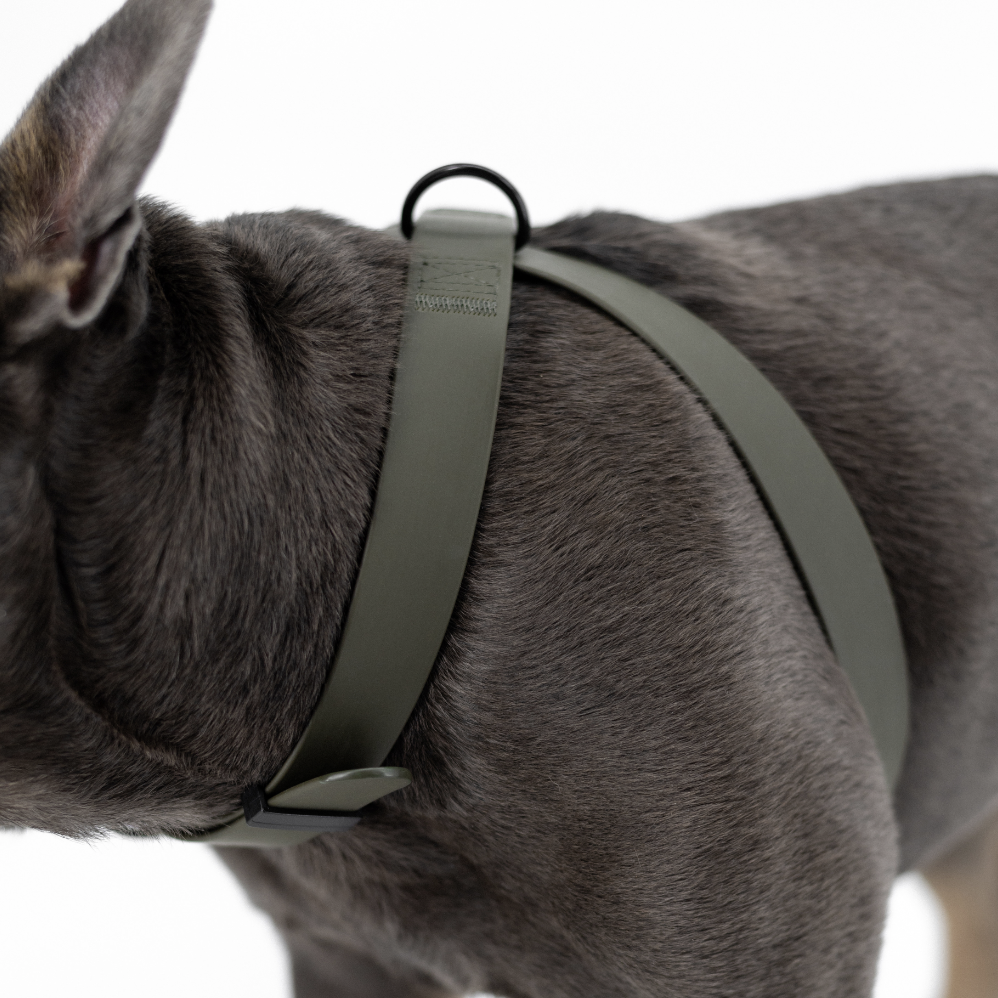 OTTO DOG HARNESS MOON